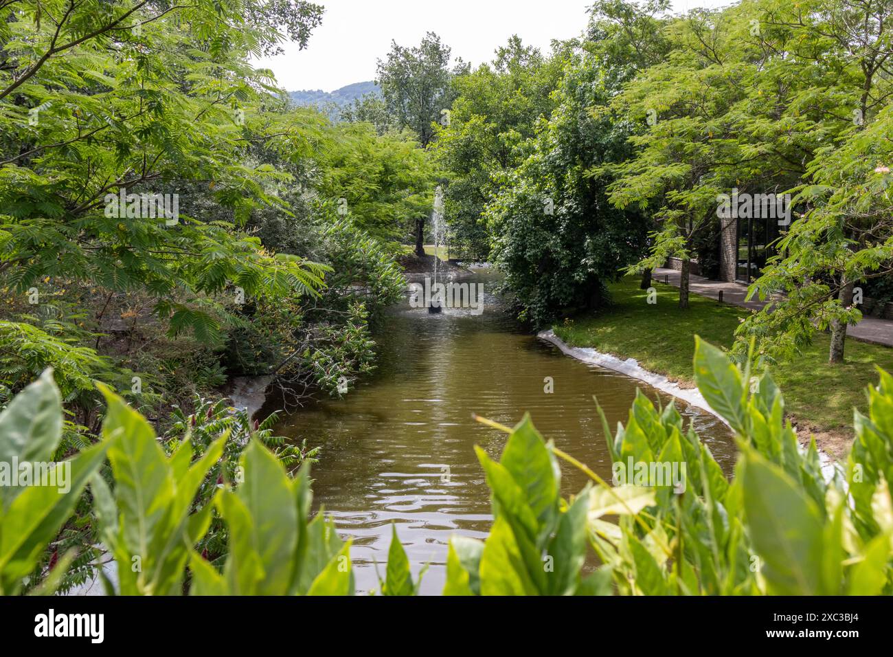 Belleza y serenidad en este hermoso paisaje con vegetación y Agua. Stockfoto