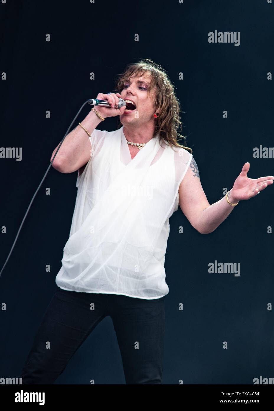 Donington, Großbritannien. Juni 2024. Die Struts übernehmen die Hauptbühne beim Download Festival. Cristina Massei/Alamy Live News Stockfoto