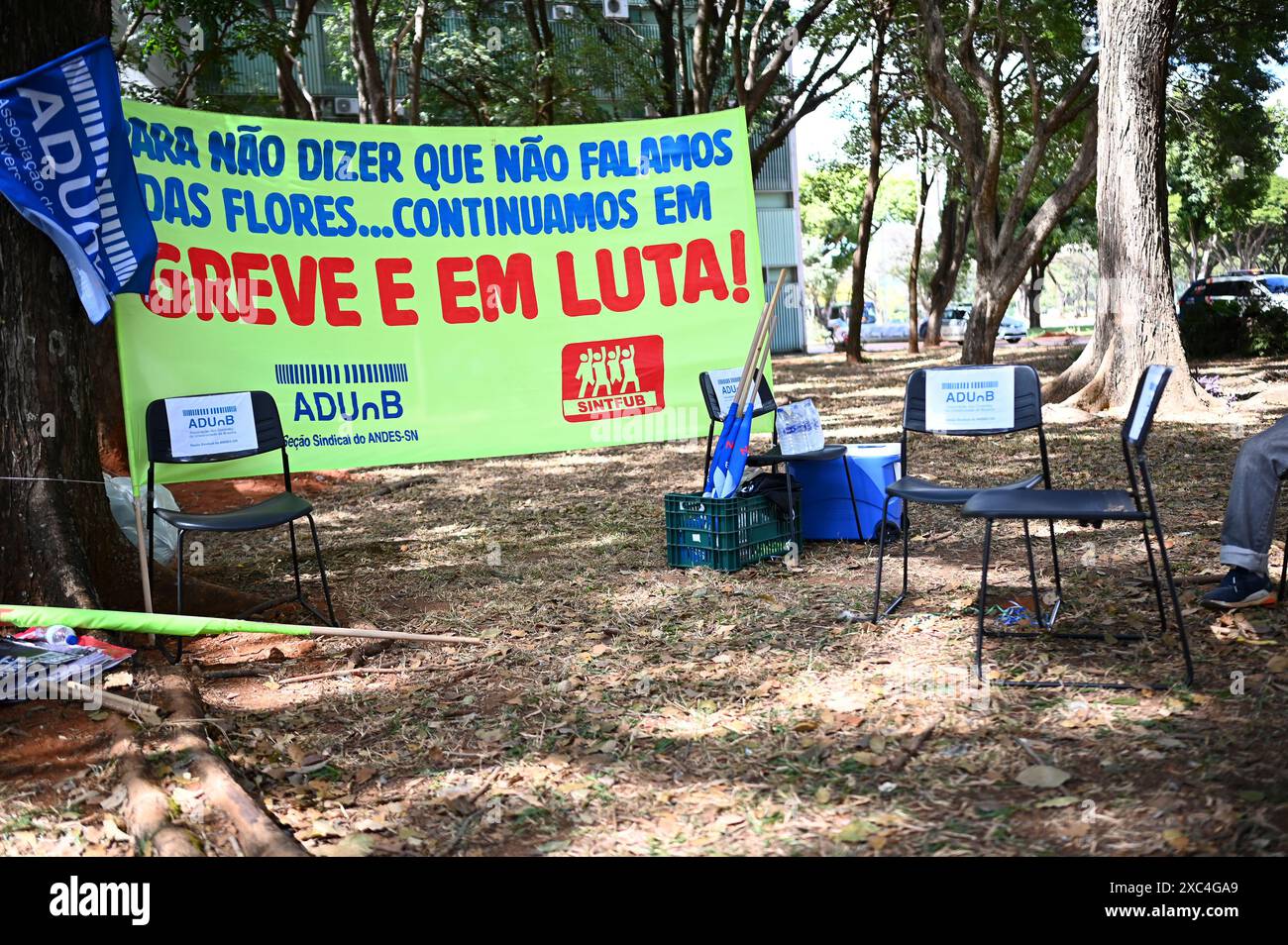 Brasília, DF - 14.06.2024: PROTESTO GREVE DOS PROFESSORES FEDERAIS - Foto, Demonstrator während des Bundeslehrerprotests. An diesem Freitag (14) protestieren Lehrer und Studenten von Universitäten und Bundesinstituten vor dem Bildungsministerium in Streik. (Foto: Ton Molina/Fotoarena) Stockfoto