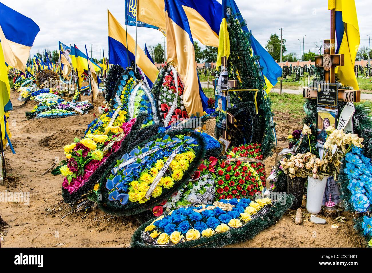Charkiw, Ukraine, 13. Juni 2024 Aleja Slawy, Militärfriedhof südlich von Charkiw. Die Gräber von Soldaten, Helden, die die Ukraine verteidigten, sind bedeckt mit Stockfoto