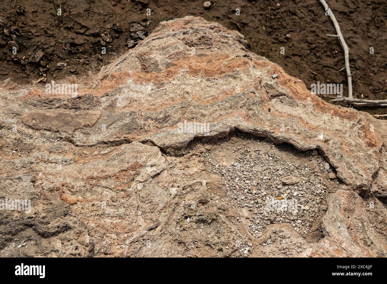 Alolabad Geothermalgebiet in Äthiopien mit surrealer Landschaft mit bunten heißen Quellen, dampfenden Fumarolen und ausbrechenden heißen Salzgeysiren in einer trockenen Umgebung Stockfoto