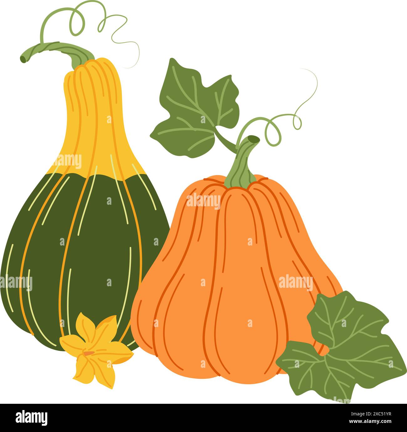Reife Kürbisse, Blätter und Blumen. Handgezeichneter trendiger flacher Stil isoliert auf Transparent. Bio-Lebensmittel, Herbsternte, Thanksgiving, halloween-Konzept. Gesundes vegetarisches Menü. Vektorabbildung Stock Vektor