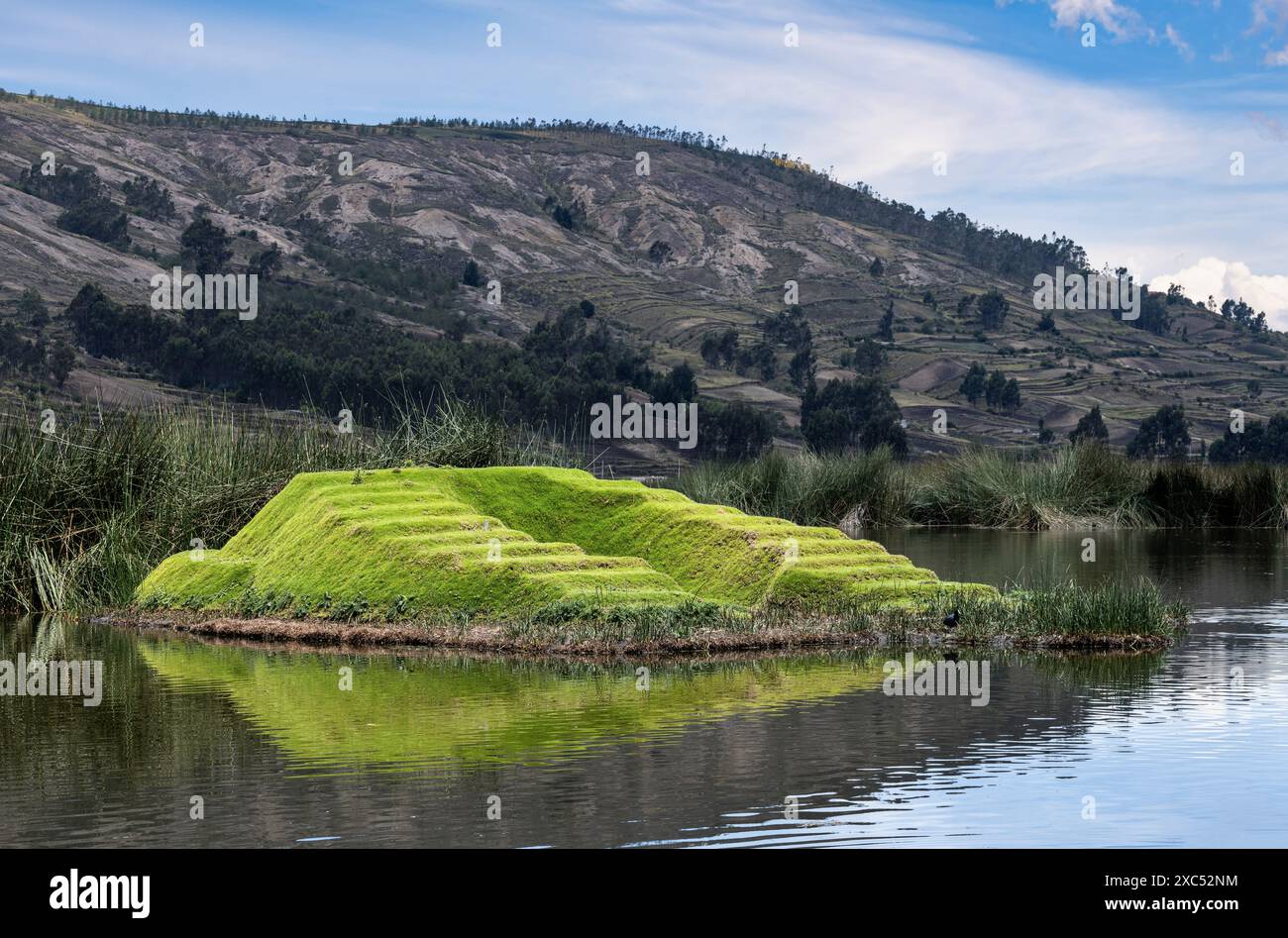 Colta Lagune (Laguna Colta) in Ecuador Stockfoto