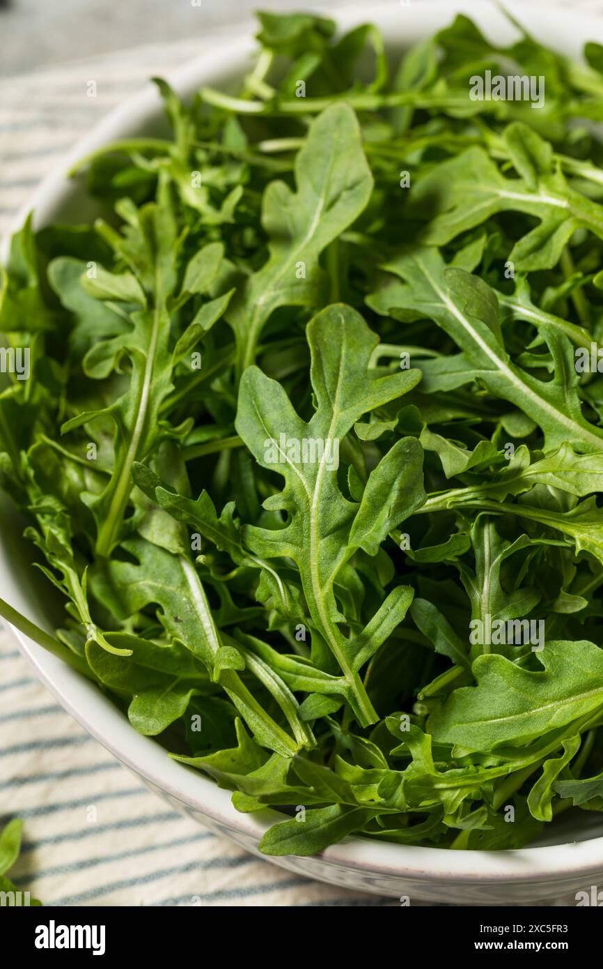 Organische Roh-grüne Arugula-Rakete in einer Schüssel Stockfoto
