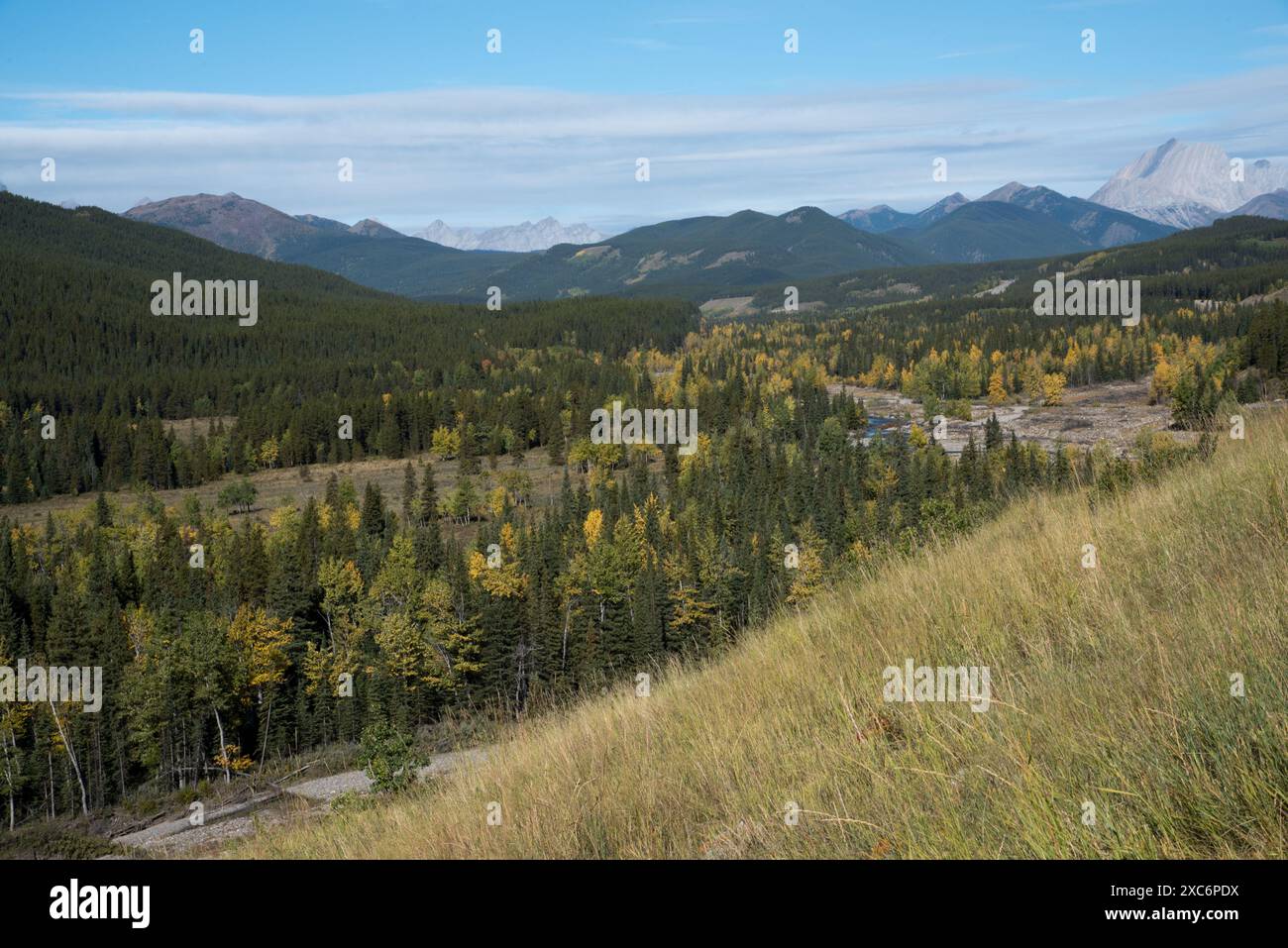 Kananaskis County in Alberta, Kanada vom Kananaskis Trail aus gesehen. Blick vom Kananaskis Trail auf die schroffen Gipfe Stockfoto