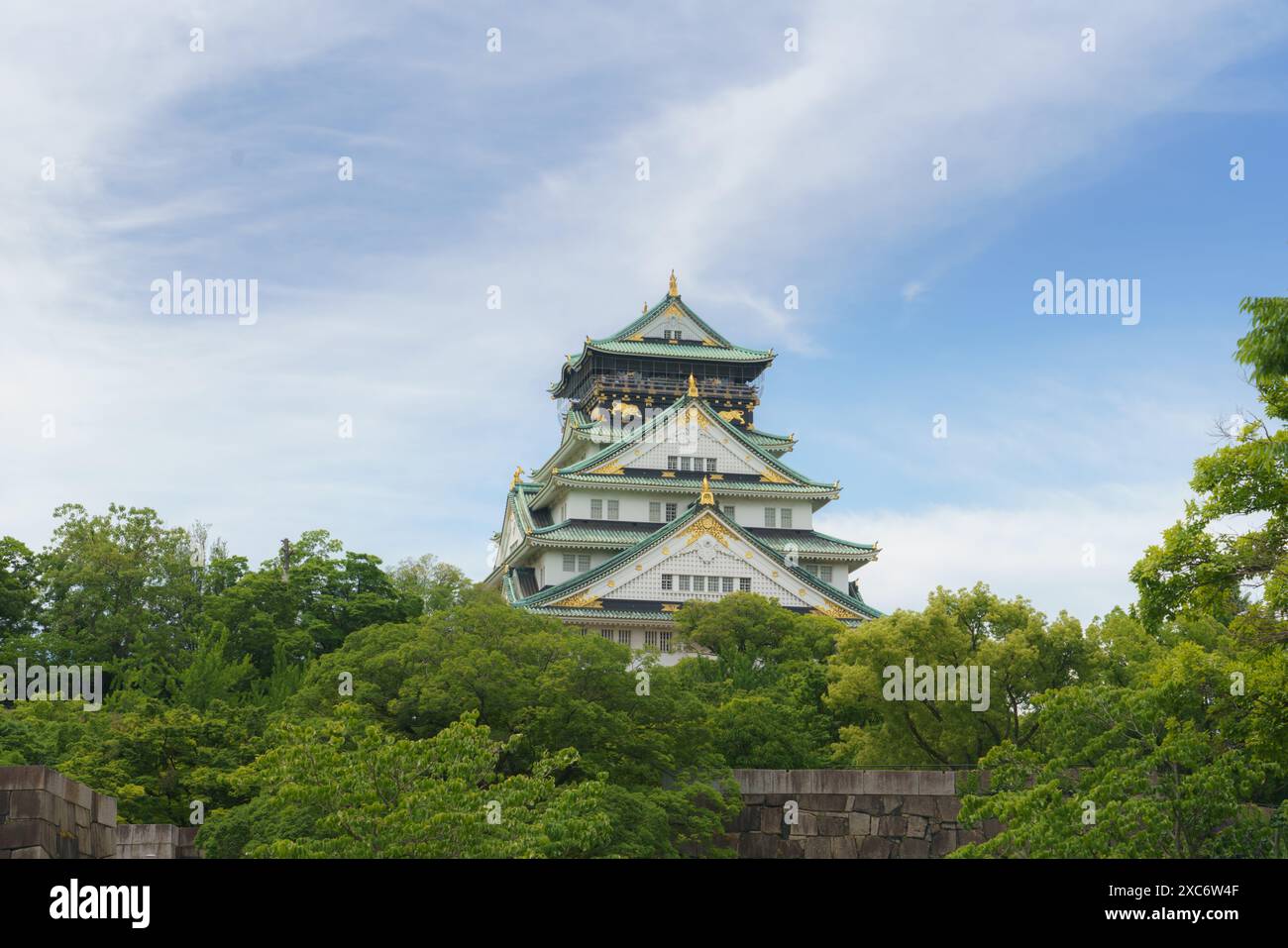 Wunderschöne, traditionelle japanische Burg osaka, eingerahmt von üppigen grünen Bäumen und Laub in Japan Stockfoto
