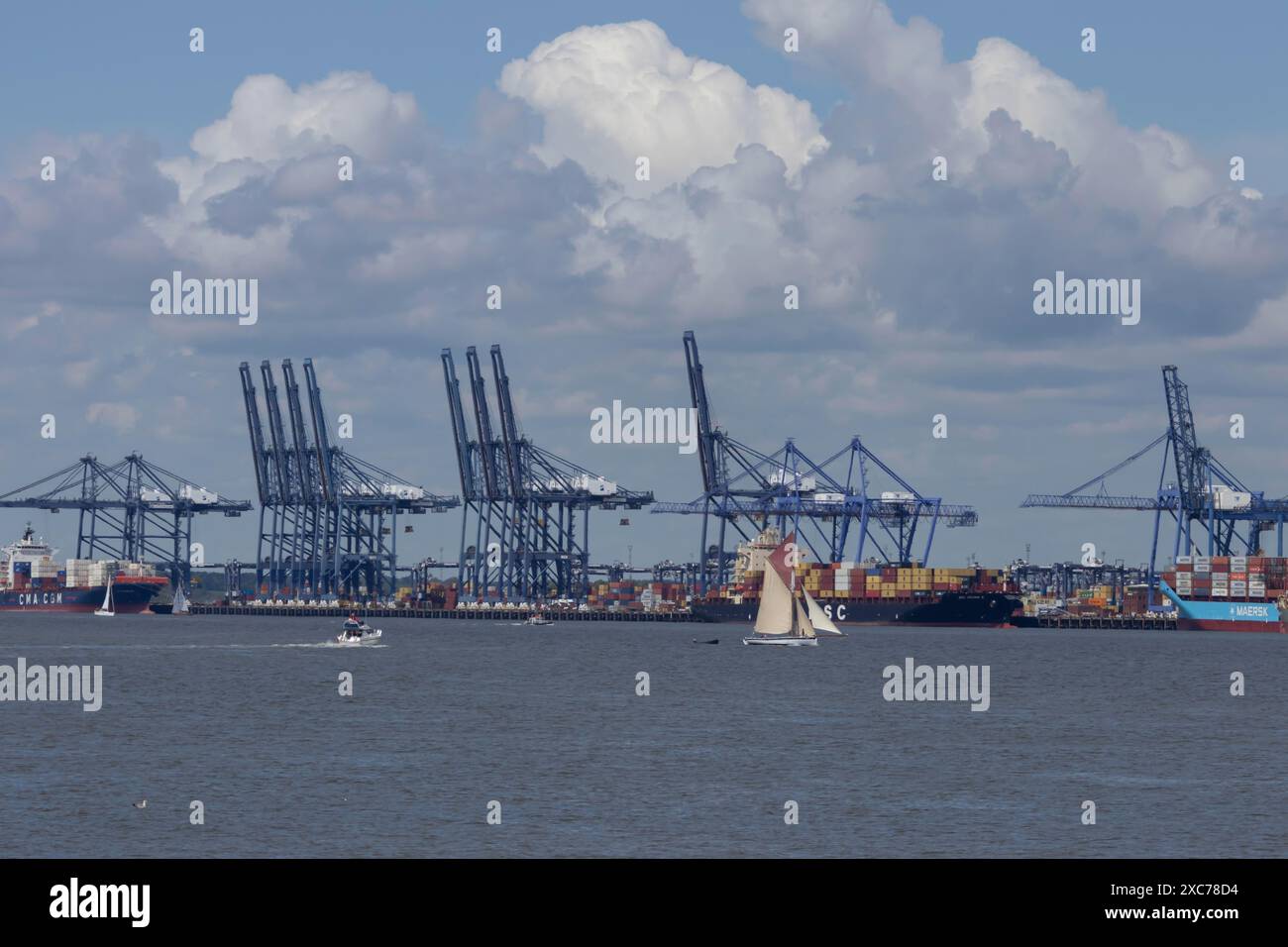 Segelboot vor Containerschiffen im Hafen von Felixstowe, Suffolk, England, Großbritannien Stockfoto