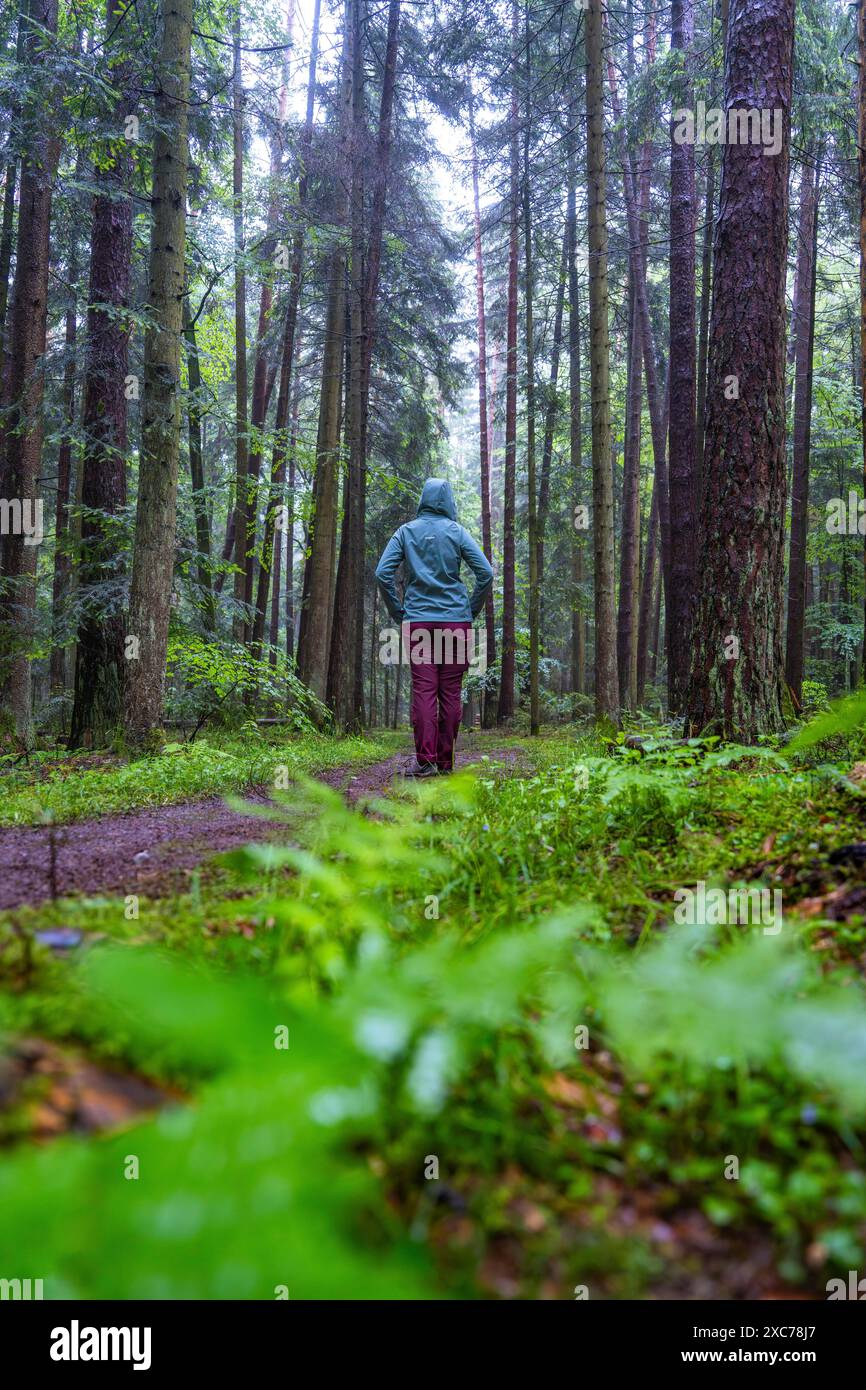 Eine Einzelperson geht auf einem Weg durch einen ruhigen, grünen und moosigen Wald, Schwarzwald, Gechingen, Deutschland Stockfoto