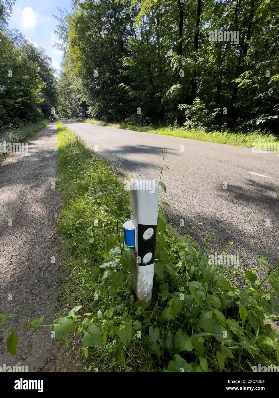 Warnreflektor für Wildtiere an Straßenpfosten Reflektierender Reflektor zur Verhinderung von Wildtieren Reduzierung von Wildunfällen mit reflektierender Folie Stockfoto