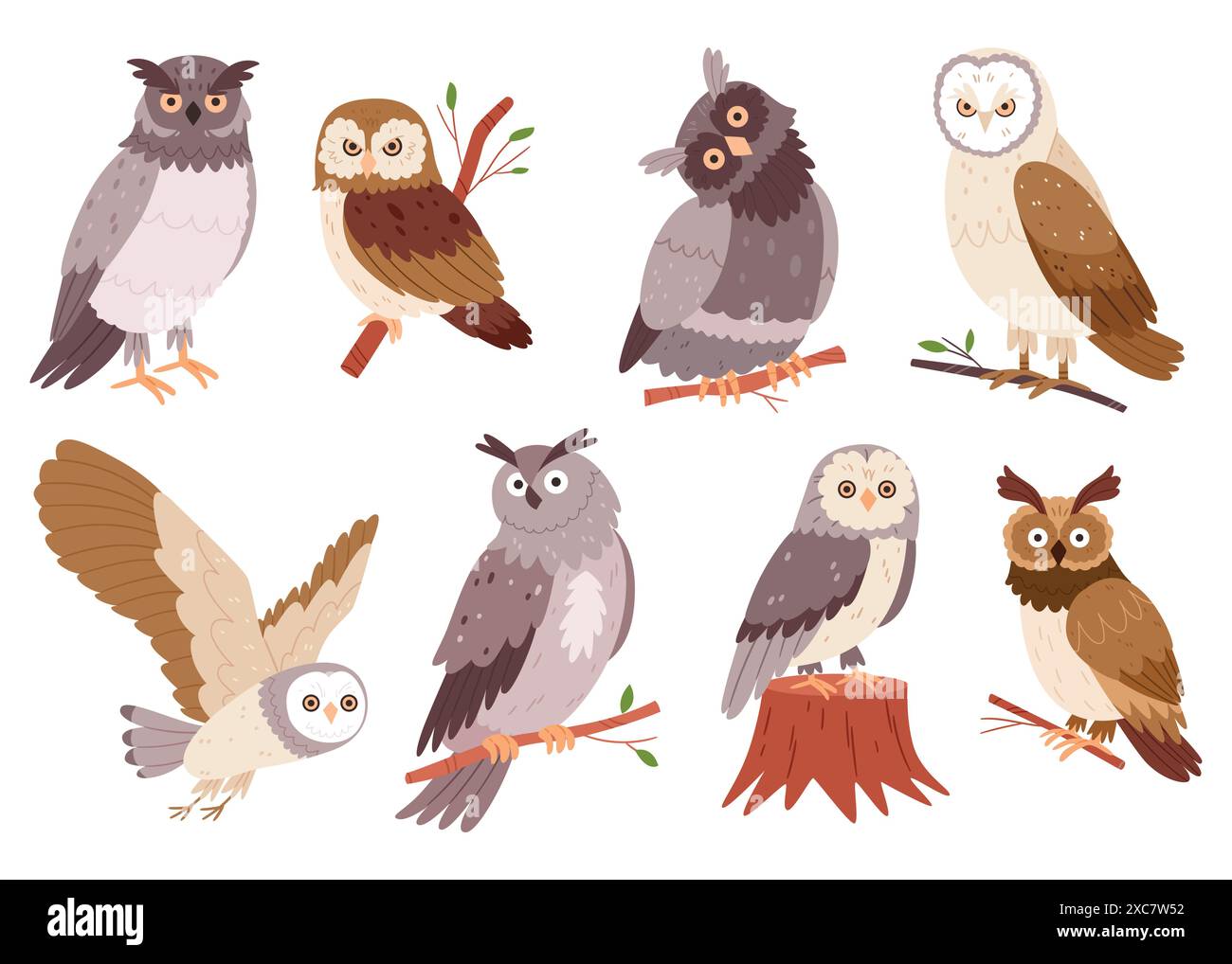 Set handgezeichneter Eulen. Wilde Waldvögel. Fliegende Kreaturen. Elemente für das Ornithologiebuch. Flaches Design. Stock Vektor