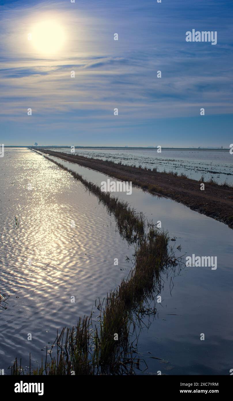 Wunderschöner Sonnenaufgang über den friedlichen Reisfeldern in Isla Mayor, Sevilla, Spanien, der die Ruhe und Ruhe der Landschaft einfängt. Stockfoto