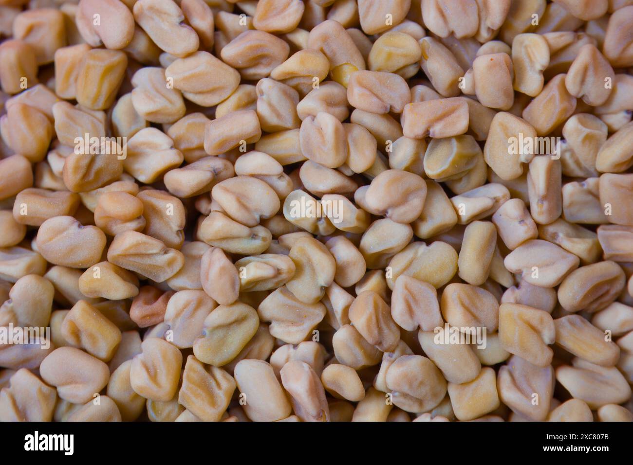 Nahaufnahme von Split Bockshornkleesamen, bekannt als Methi Kuria, sind zerrissene Bockshornkleesamen, die häufig in indischen Gurkenrezepten verwendet werden. Stockfoto