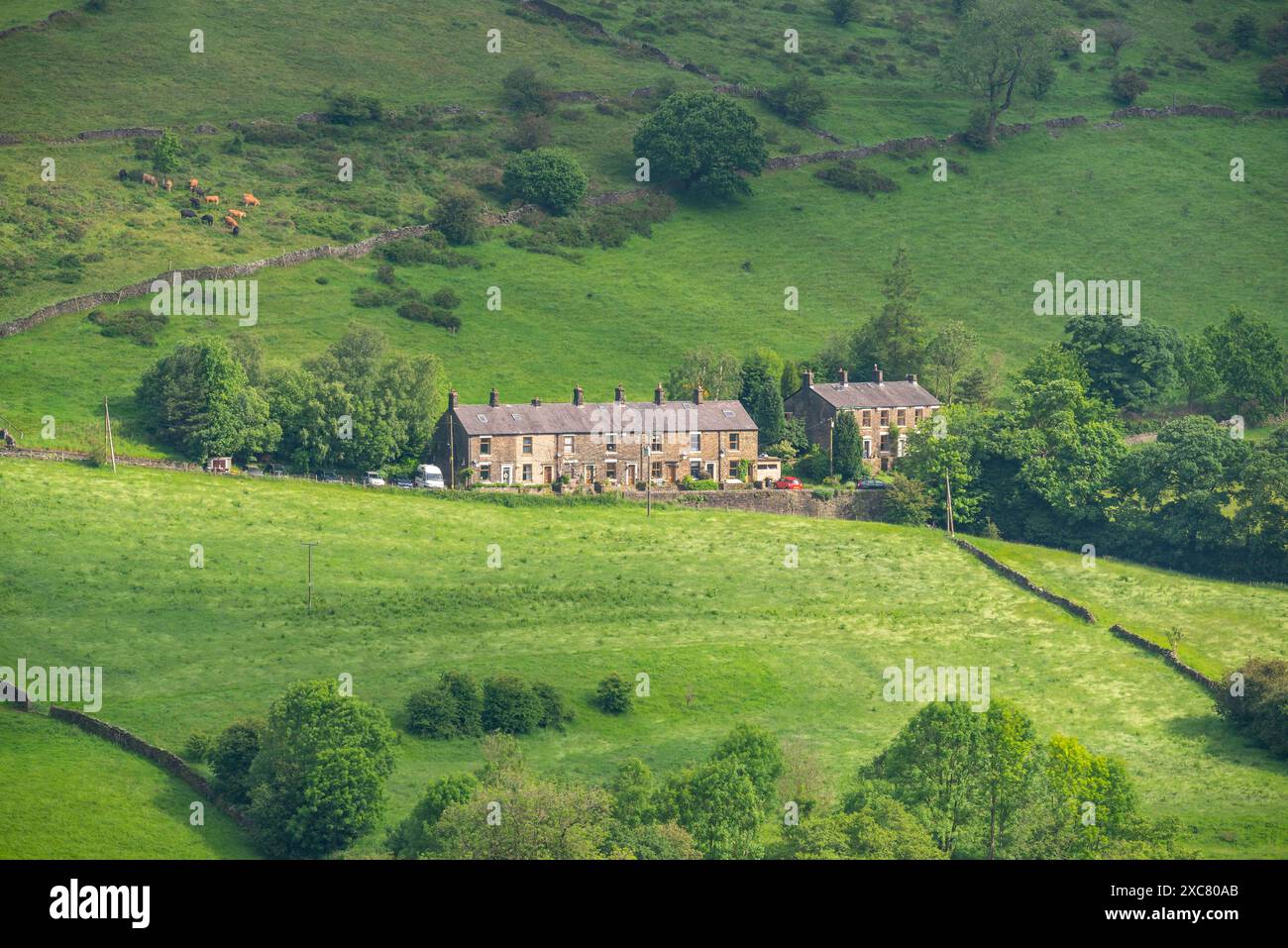 Reihe alter Steinhäuser auf einem Hügel bei Birch Vale in Derbyshire, England. Stockfoto