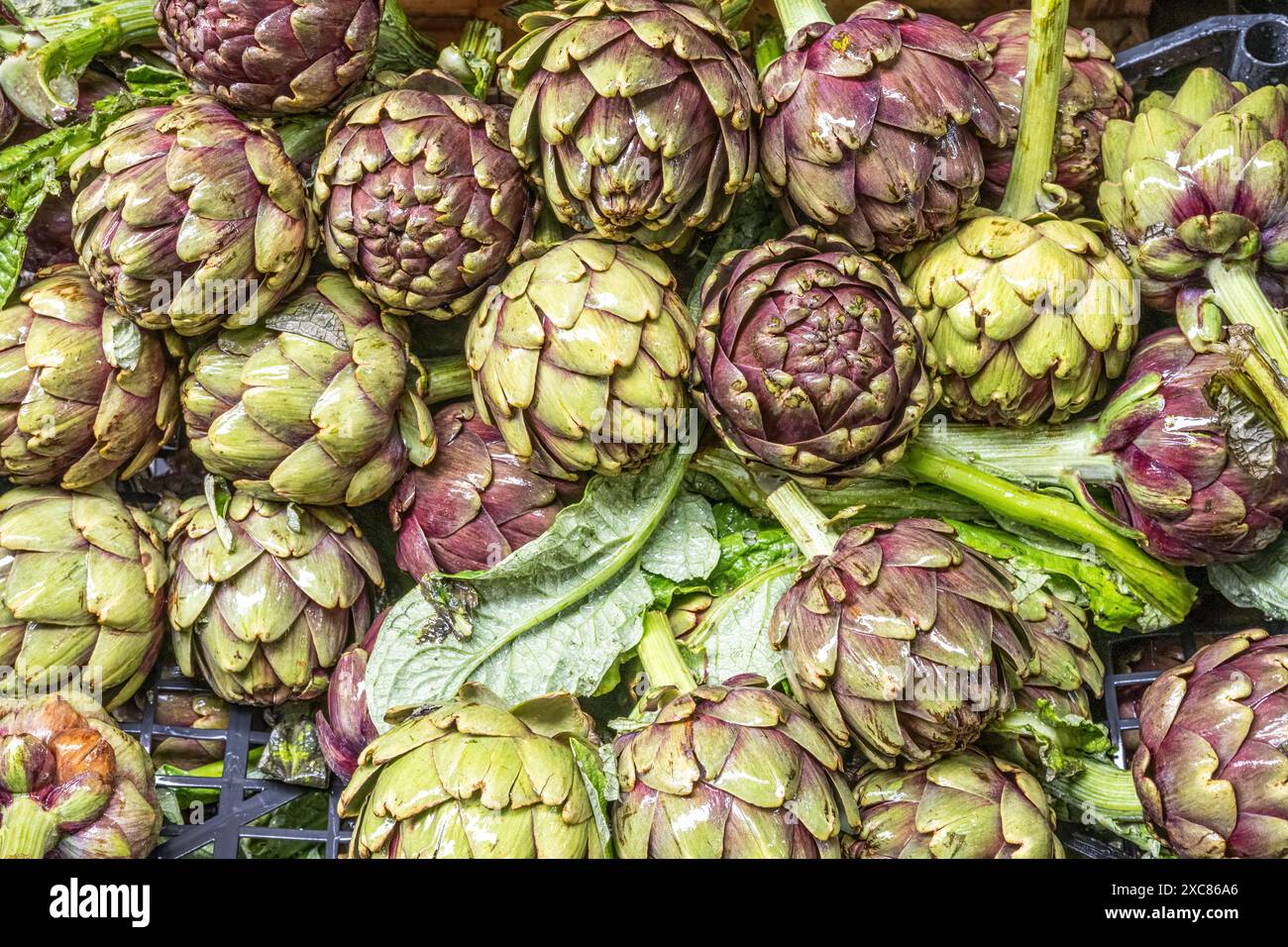 Ein Haufen Artischocken zum Verkauf auf einem Markt in Neapel, Italien Stockfoto