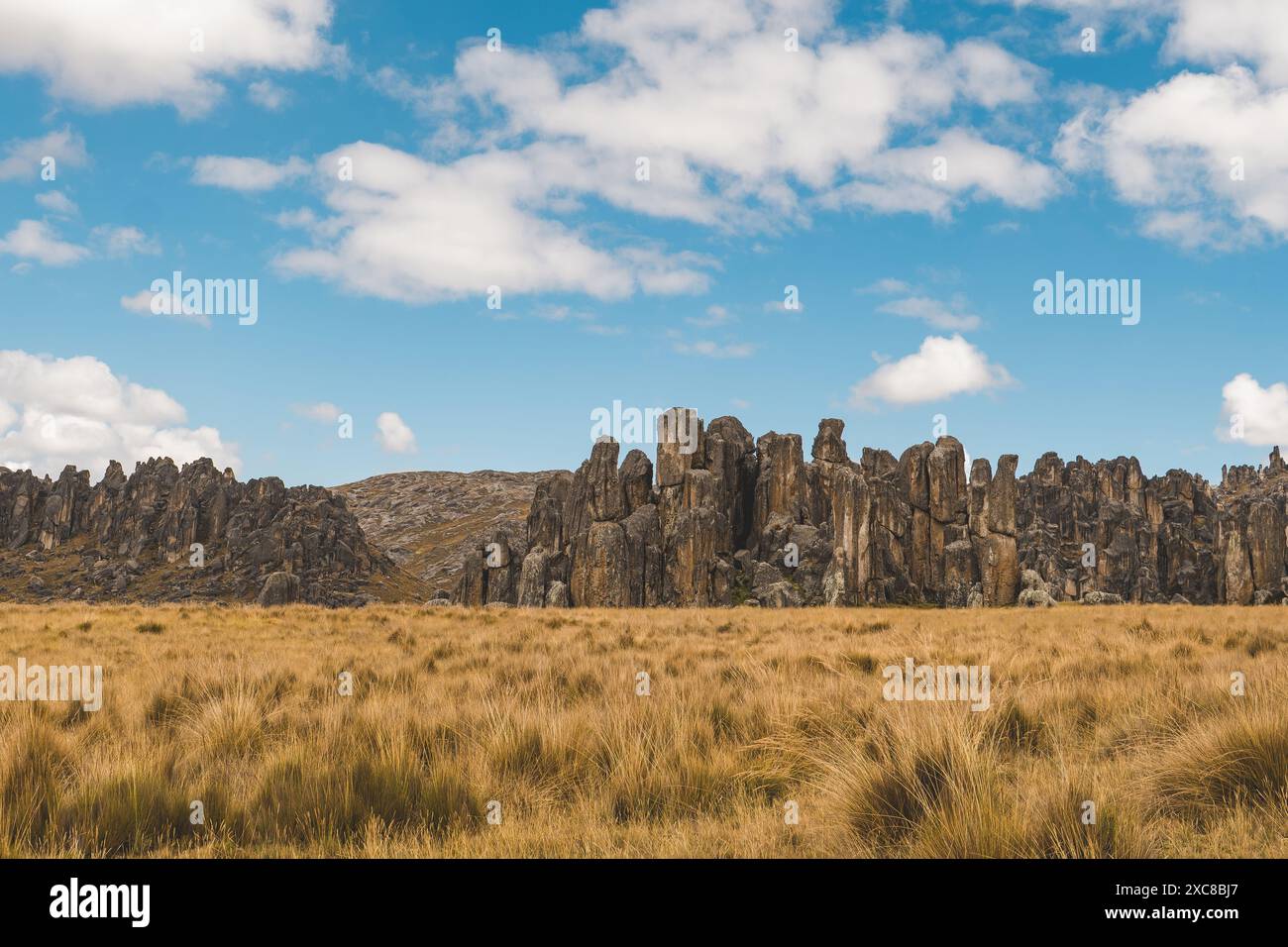Panoramablick auf den Huayllay Stone Forest, Felsen, die im Laufe der Jahre vom Wind erodiert wurden und Steinfiguren bilden. Pasco. Peru, weite Sicht Stockfoto