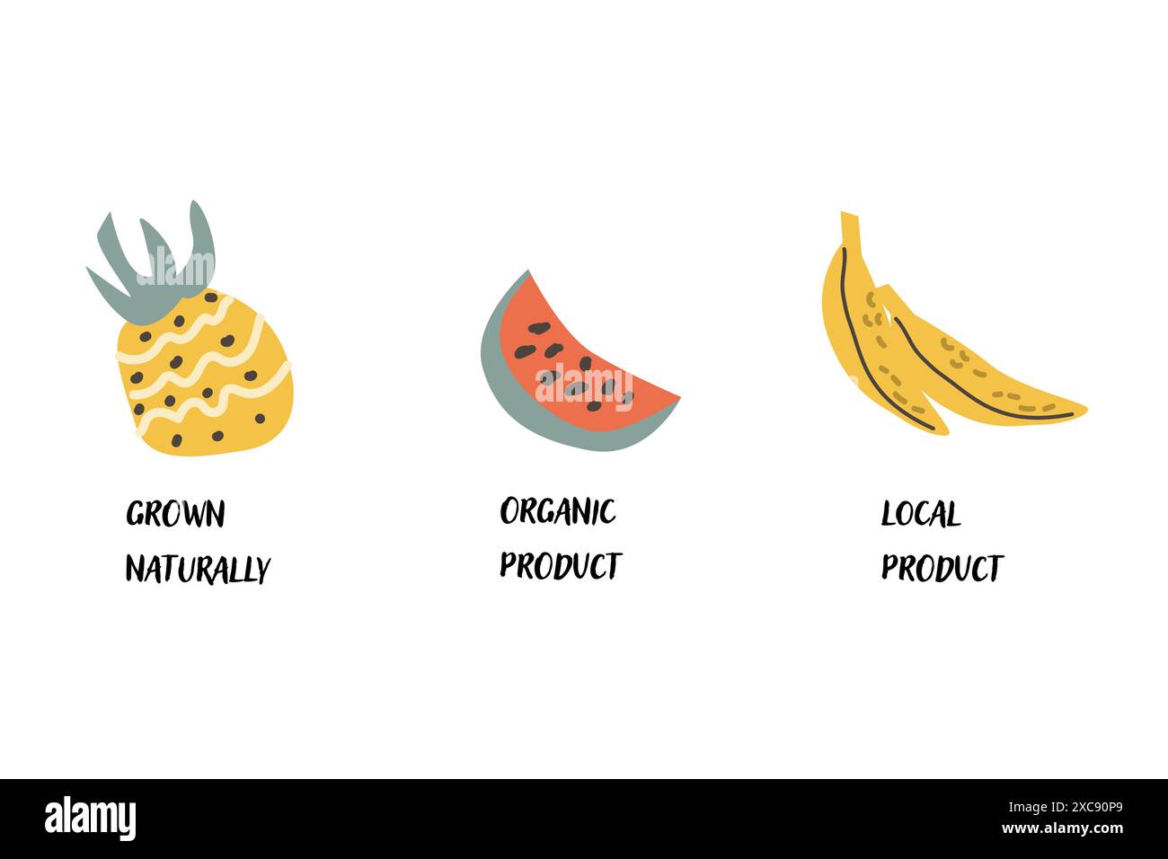 Lokales Obst-Etikett-Set. Ananas, Banane und Wassermelone. Bio-Produkte, natürlich angebaut, lokale Produkte - Etiketten. Kann für Bauernhof oder Vegeta verwendet werden Stock Vektor