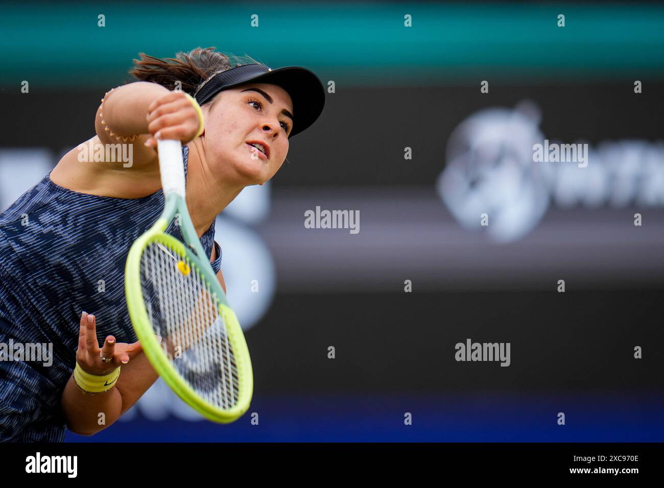 'S-HERTOGENBOSCH, NIEDERLANDE - 15. JUNI: Bianca Andreescu aus Kanada spielt im Halbfinalspiel der Frauen gegen Dalma Galfi aus Ungarn am 6. Tag der Libema Open Grass Court Championships bei der Autotron am 15. Juni 2024 in 's-Hertogenbosch, Niederlande (Foto: Rene Nijhuis/BSR Agency) Credit: BSR Agency/Alamy Live News Stockfoto