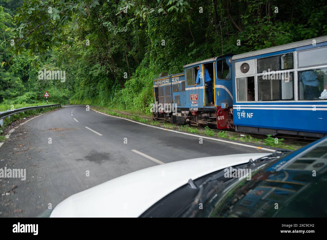 Darjeeling, West Bengal, Indien - 10. August 2023 : Dieselspielzeugzug fährt durch Himalaya-Straßen und Dschungel. Darjeeling Himalayan Railway, schmaler Ga Stockfoto