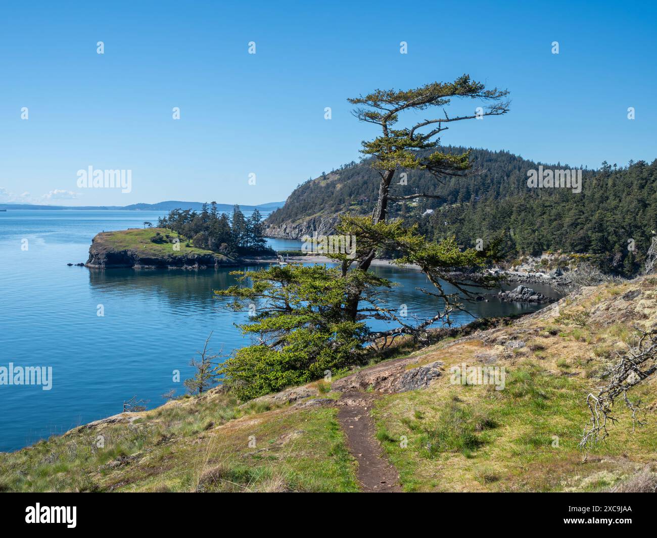 WA25314...WASHINGTON - Blick auf Sharpe Cove und Rosario Head vom Vista Point am Eingang zur Bowman Bay, Teil des Deception Pass State Park. Stockfoto