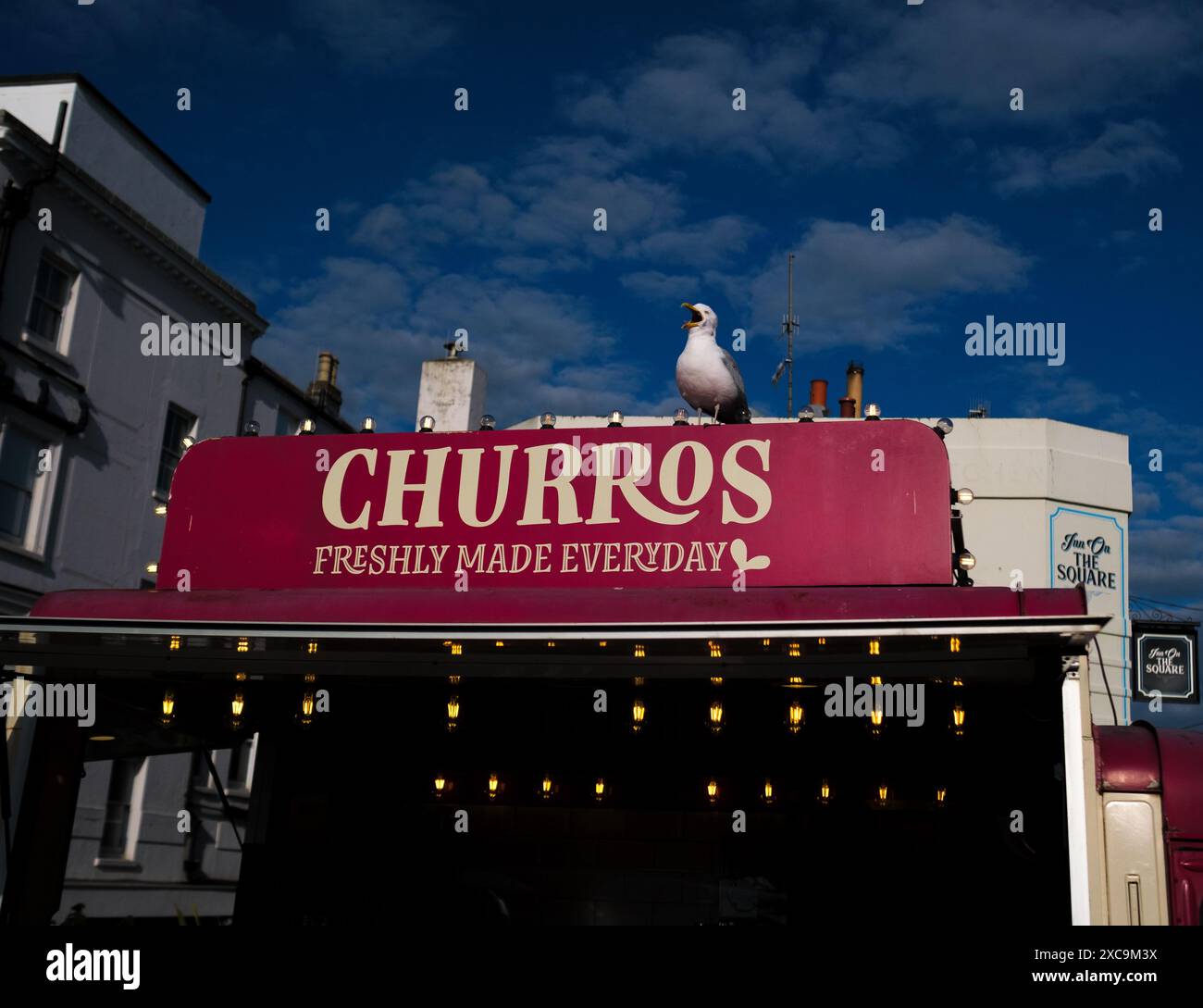 Eine Möwe sitzt in einem Churros Food Outlet in Brighton vor einem tiefblauen Himmel. Stockfoto