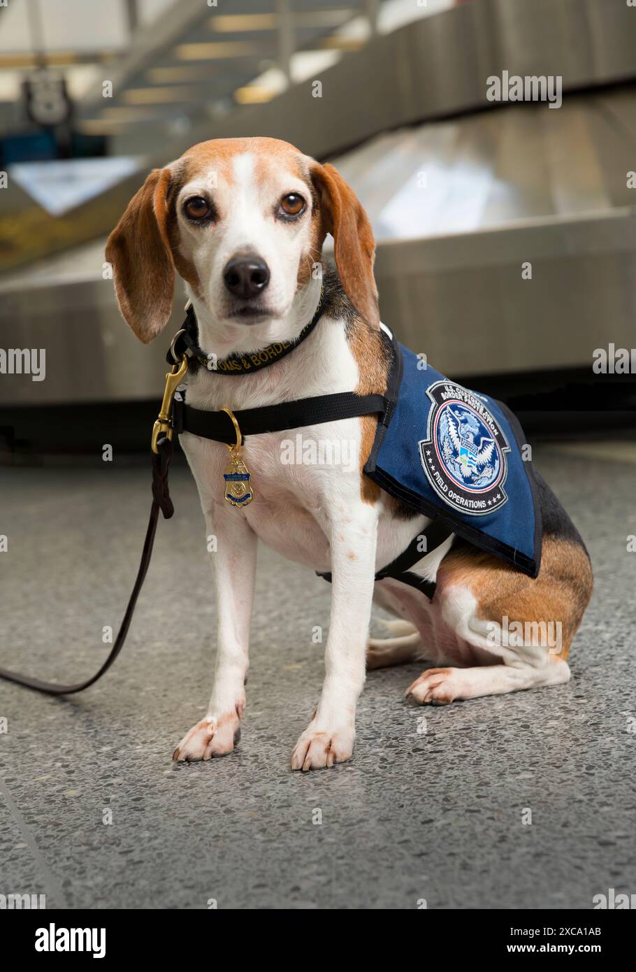 Mitglieder des United States Customs and Border Protection Office of Field Operations posieren für Porträts in Philadelphia, Pa., 26. Oktober 2016. CBP Foto von Glenn Fawcett Stockfoto