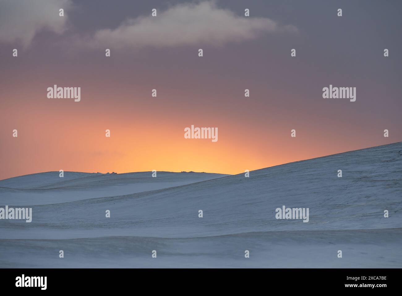 Ein leeres verschneite Feld bei Sonnenaufgang Stockfoto