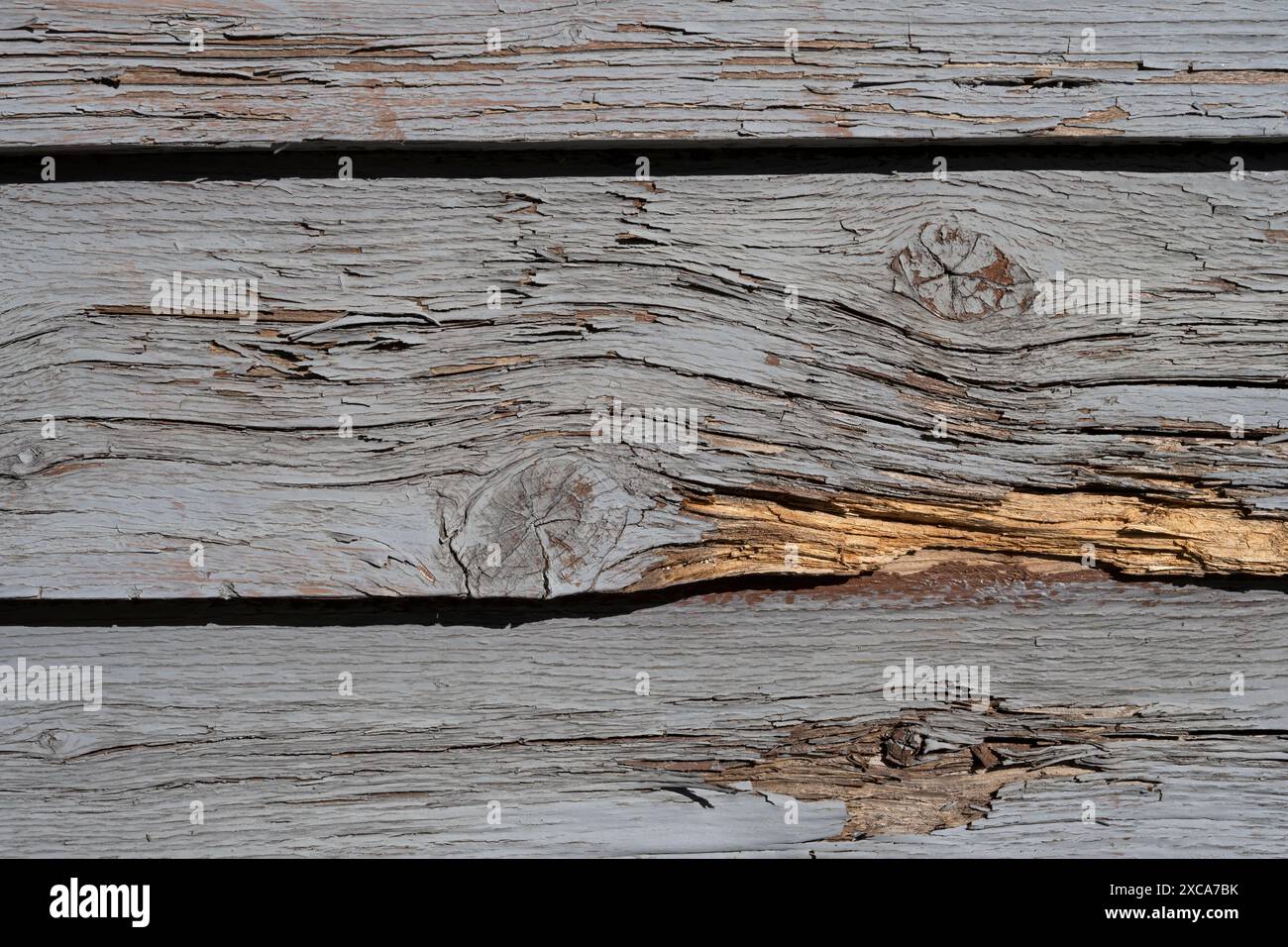 Alte Holzwand mit grauen Farbrissen gestrichen Stockfoto