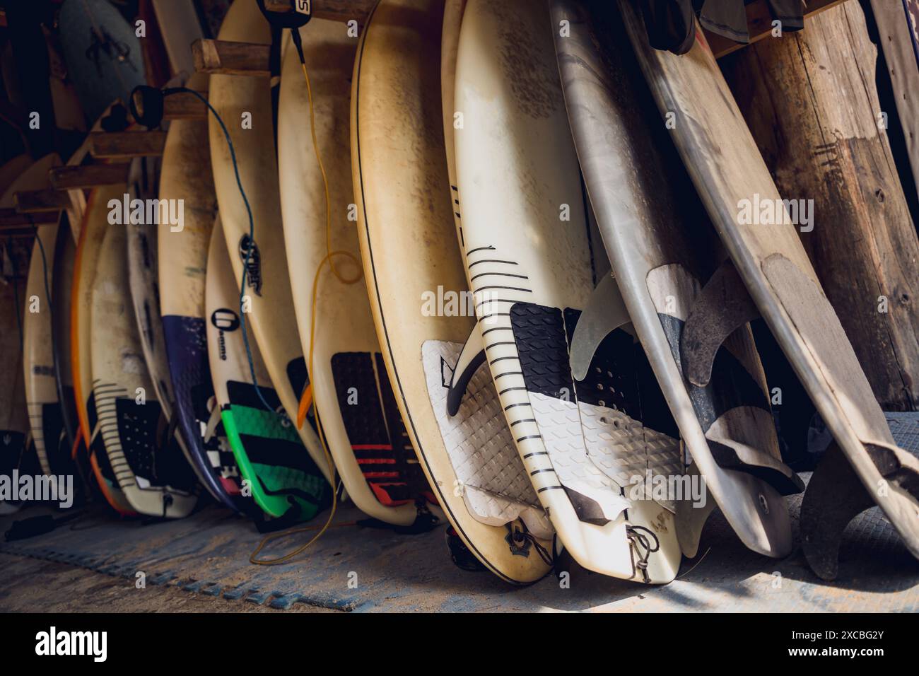 Eine Vielzahl von Surfbrettern wird auf einem Stand ordentlich gezeigt Stockfoto