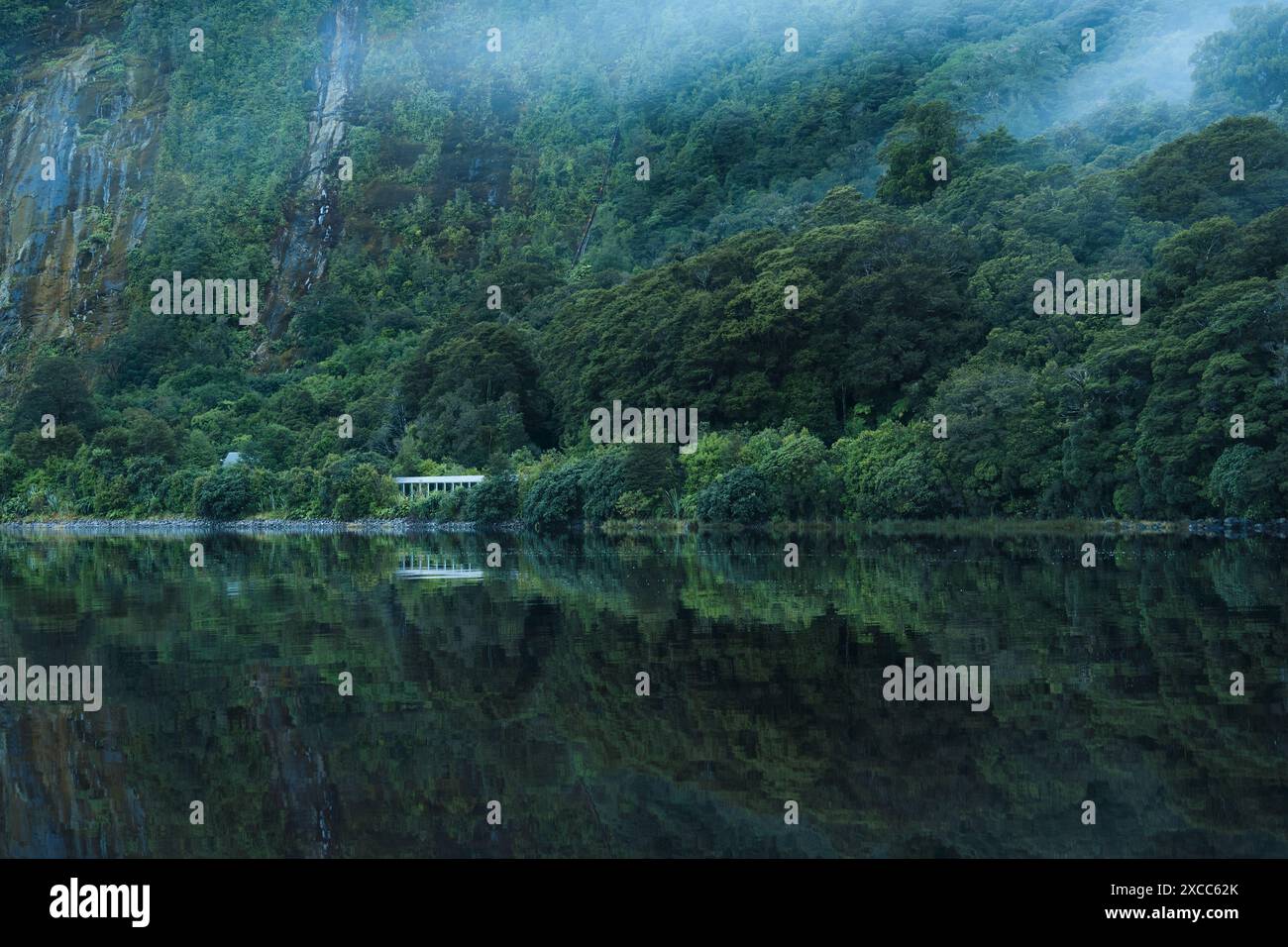 Landschaft aus tiefem Wald mit See und nebeliger Reflexion am Morgen im Nationalpark Stockfoto