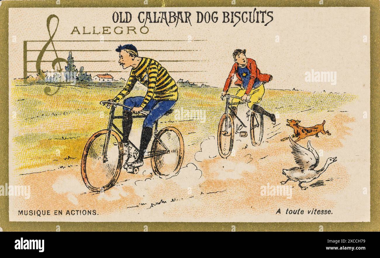 In dieser Vintage-Illustration rasen zwei Radfahrer mit einem verspielten Hund und einer Gans eine Landstraße hinunter. Die gestreiften Trikots und Reithose sind übertrieben und halten die Spannung des Rennens fest. Eingerahmt von einer goldenen Borte, deuten ein musikalischer Schlüssel und Notenlinien auf den oben genannten Allegro-Satz an. In der Werbung für Old Calabar Dog Biscuits wurde das Bild wahrscheinlich für Werbung verwendet. Stockfoto