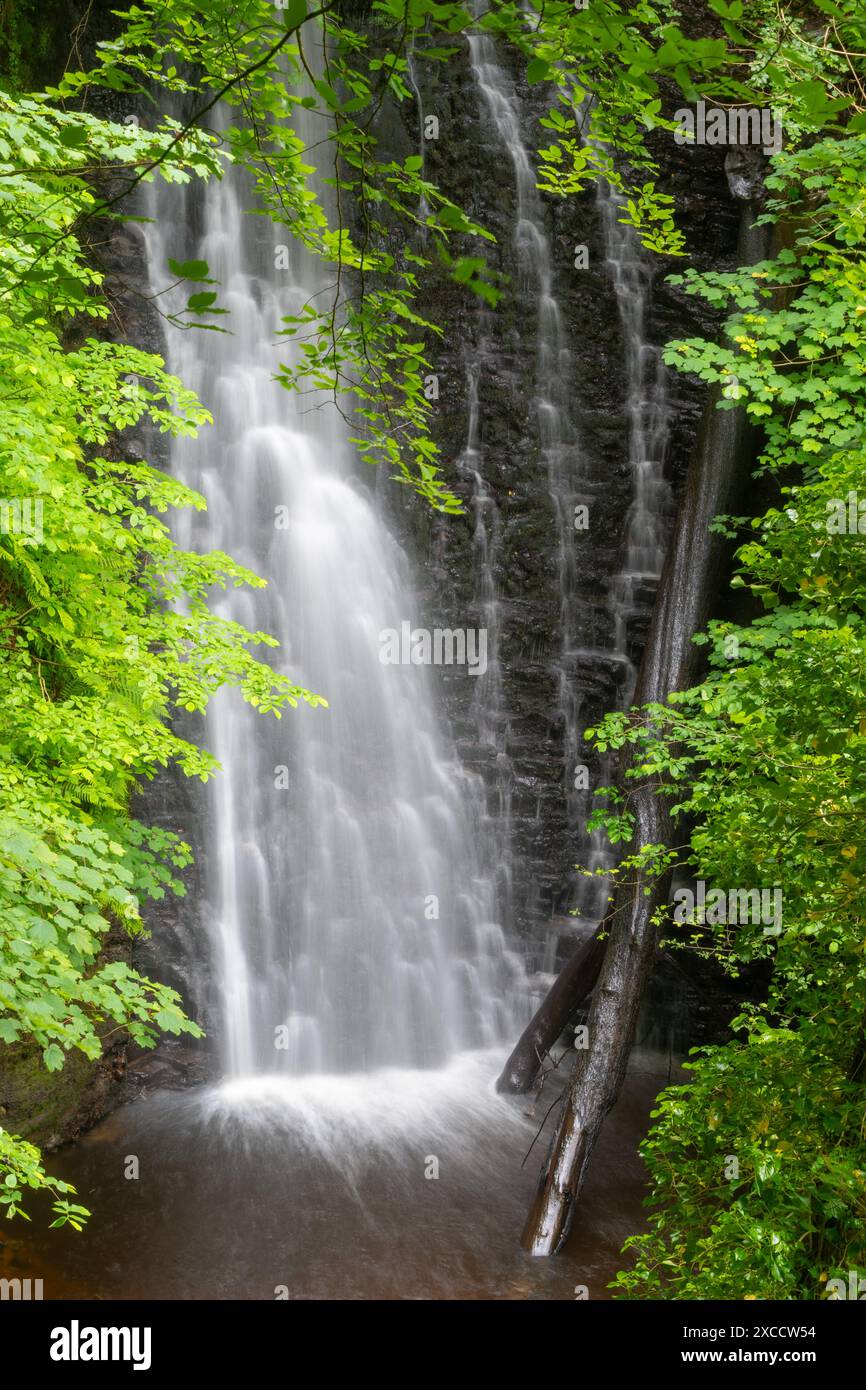 Falling Foss Wasserfall im North York Moors National Park, North Yorkshire, England, Großbritannien Stockfoto