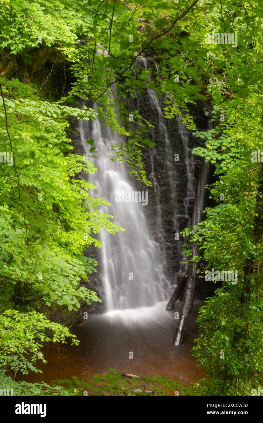 Falling Foss Wasserfall im North York Moors National Park, North Yorkshire, England, Großbritannien Stockfoto