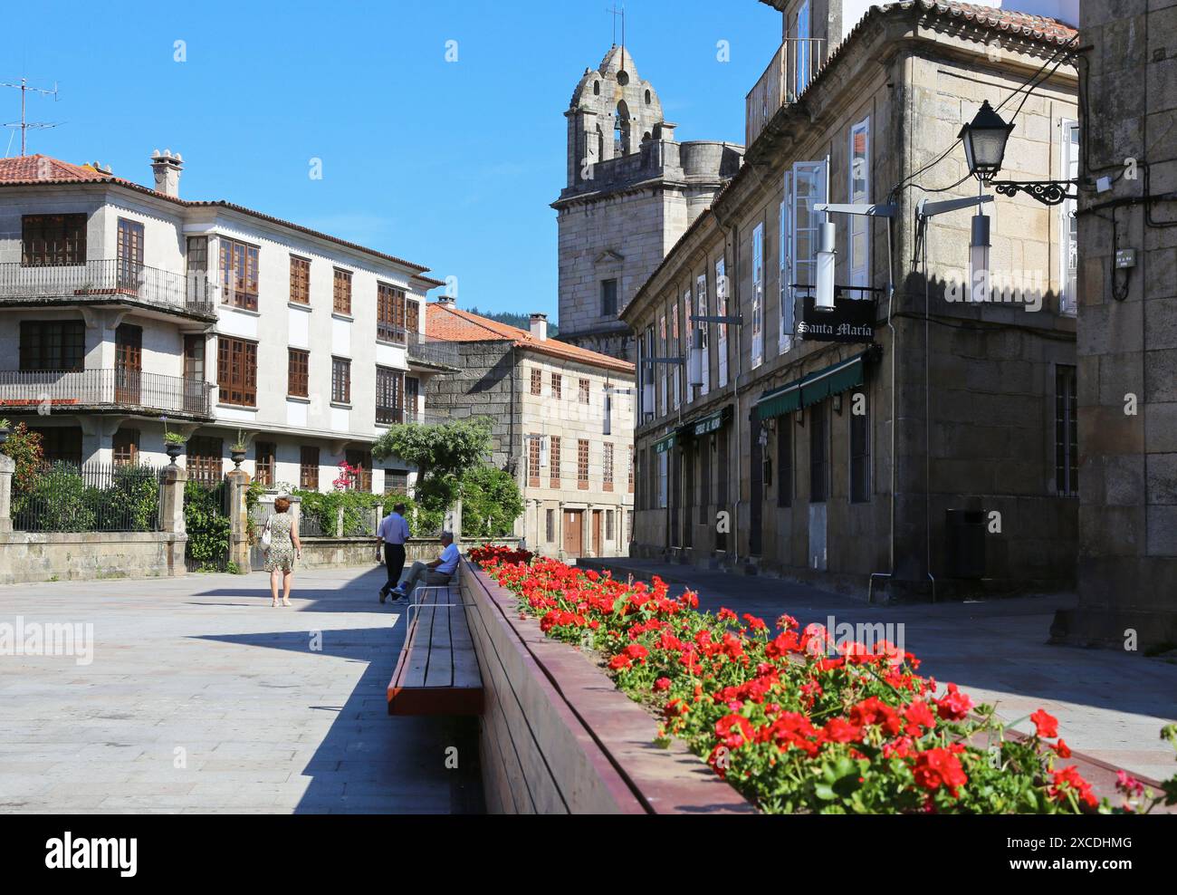 Real Basilica Menor de Santa María la Mayor, Plaza de Alonso de Fonseca, Pontevedra, Galicien, Spanien. Stockfoto