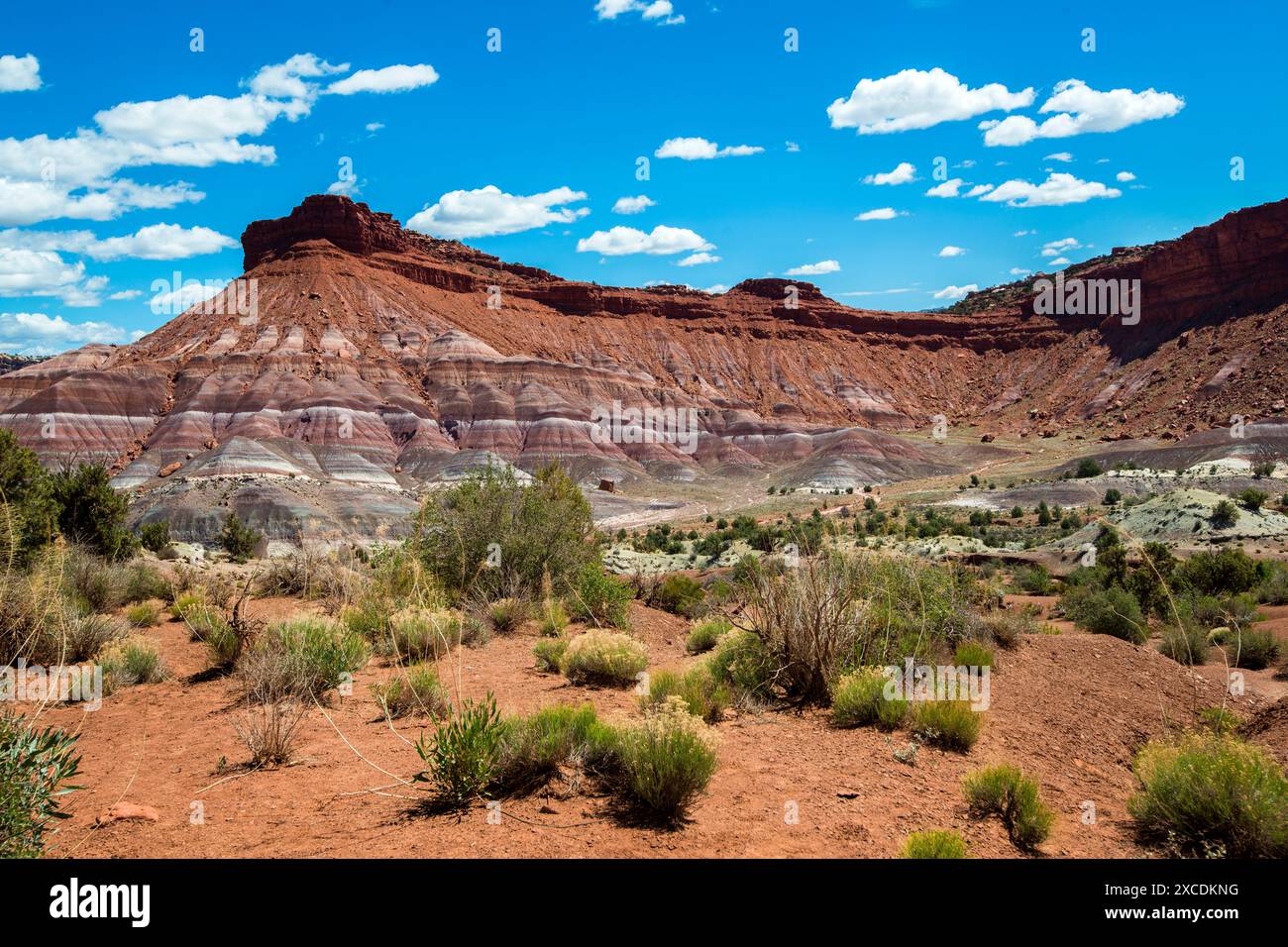 Paria Canyon, Vermilion Cliffs Wilderness Area, Kanab, Utah Stockfoto