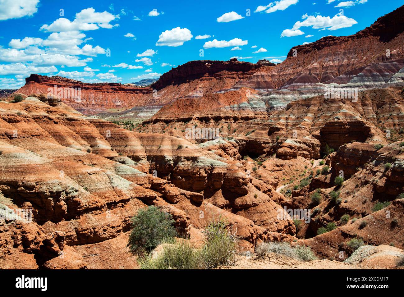 Paria Canyon, Vermilion Cliffs Wilderness Area, Kanab, Utah Stockfoto