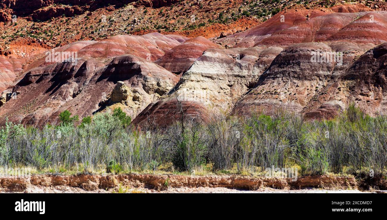 Paria River Canyon, Vermilion Cliffs Wilderness Area, Kanab, Utah Stockfoto