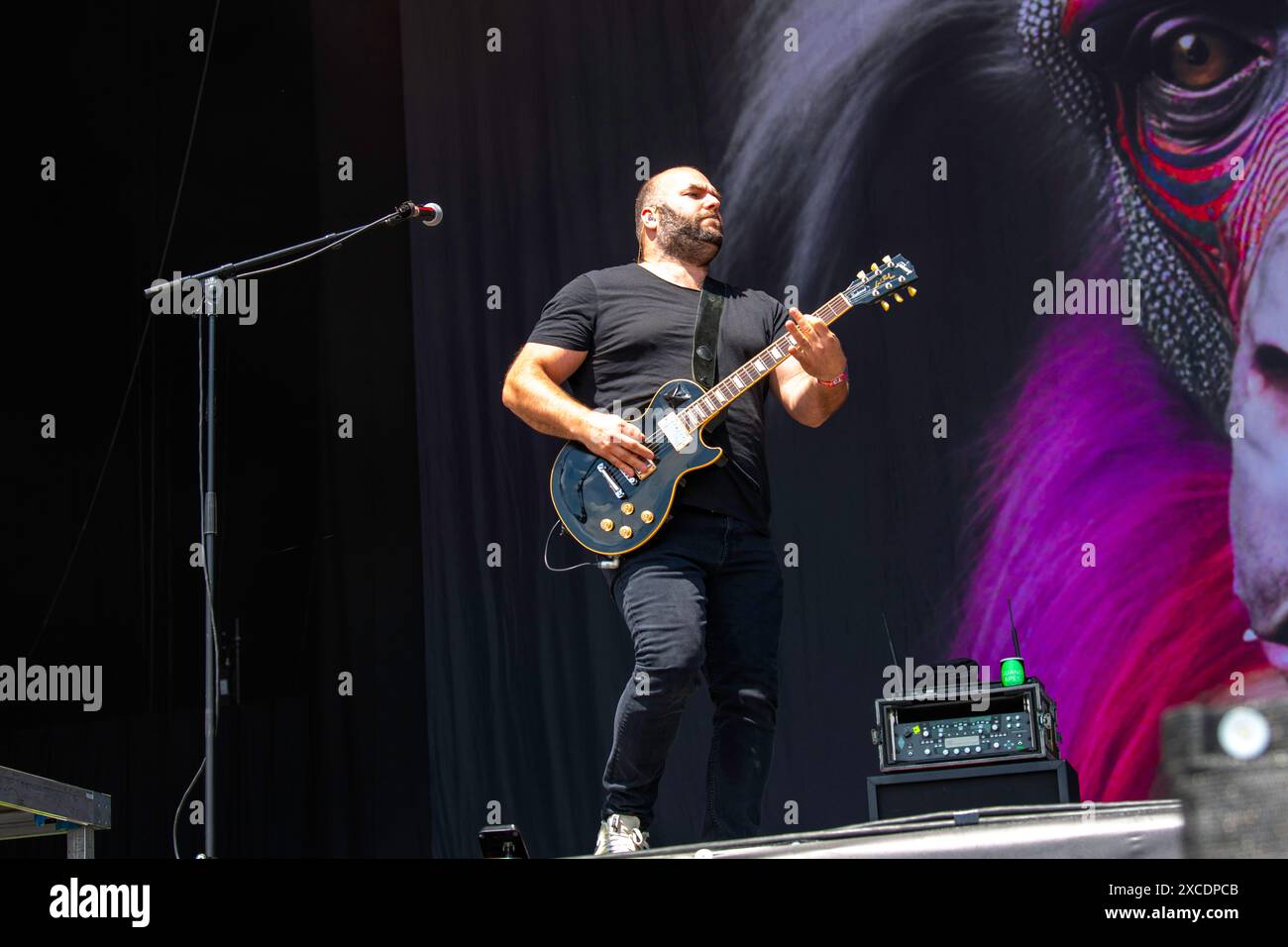 Die deutsche Rockband Guano Apes trat beim Rock im Park Festival in Nürnberg auf. Stockfoto