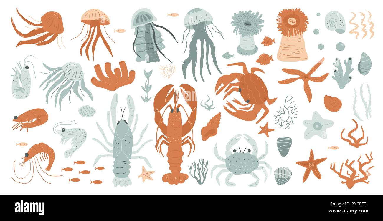 Unterwasserleben isoliert auf weißem Hintergrund. Sammlung von Quallen, Meeresanemonen, Fischen, Hummer, Krabben, Garnelen, Seesterne, Muscheln, Korallen, Algen Stock Vektor