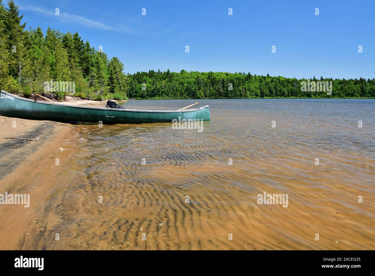 La Mauricie Nationalpark Caribou See. Grünes Kanu an einem Sandstrand Stockfoto