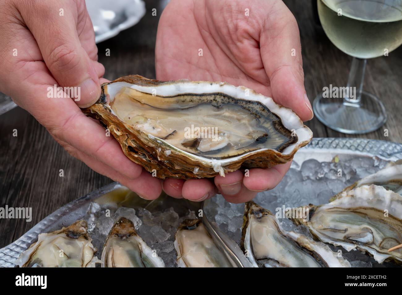 Essen von frischen lebenden Austern mit Zitrone und Brot im Farmcafé im Austerndorf Arcachon bassin, Gujan-Mestras Hafen, Bordeaux, Fran Stockfoto