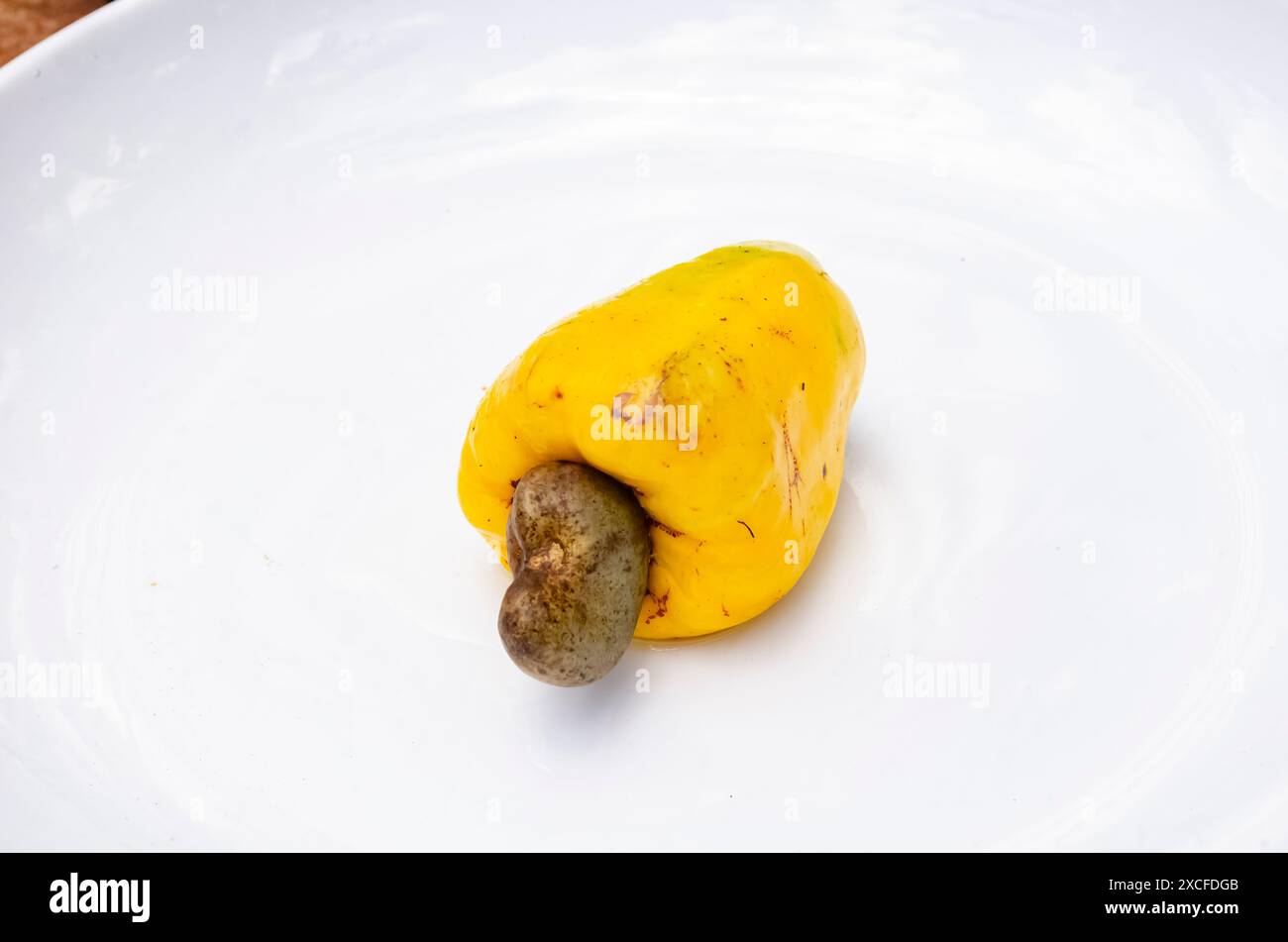 Ganze Cashew-Frucht Stockfoto