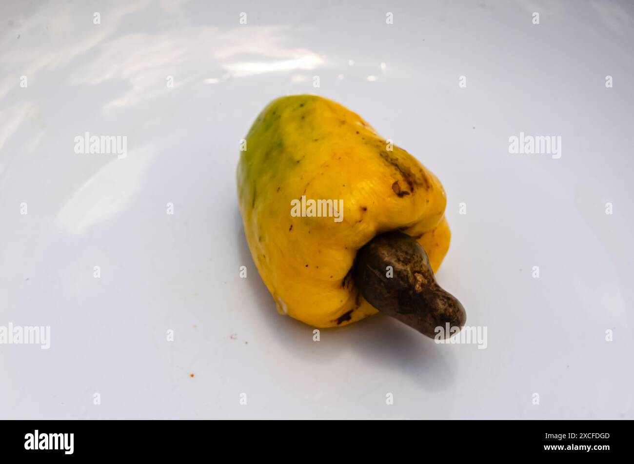 Cashew Stockfoto