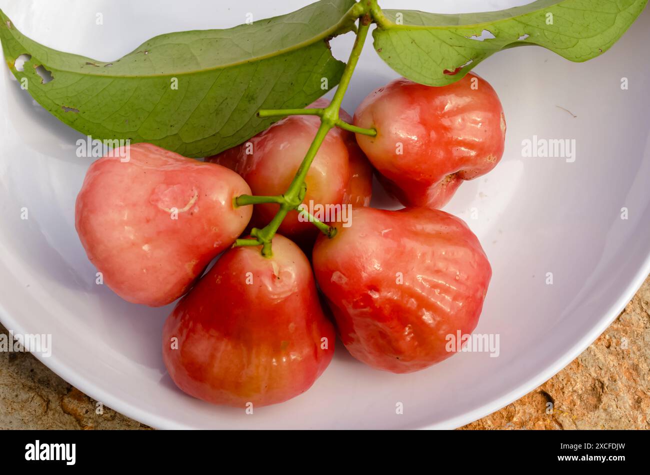 Java-Äpfel in Einem Teller Stockfoto