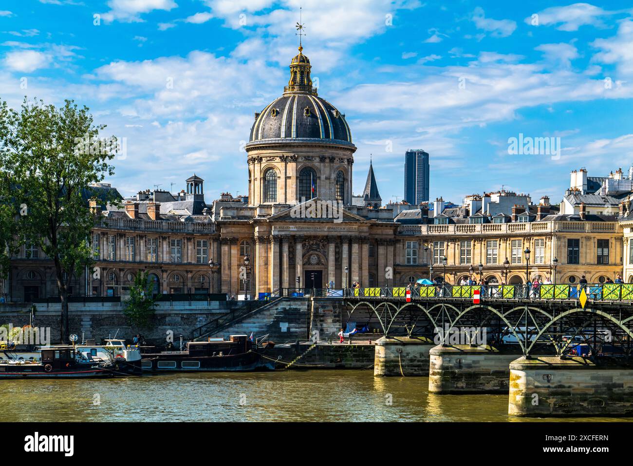 FRANZÖSISCHE AKADEMIE DER WISSENSCHAFTEN (1666) UND SEINE-FLUSS PARIS FRANKREICH Stockfoto