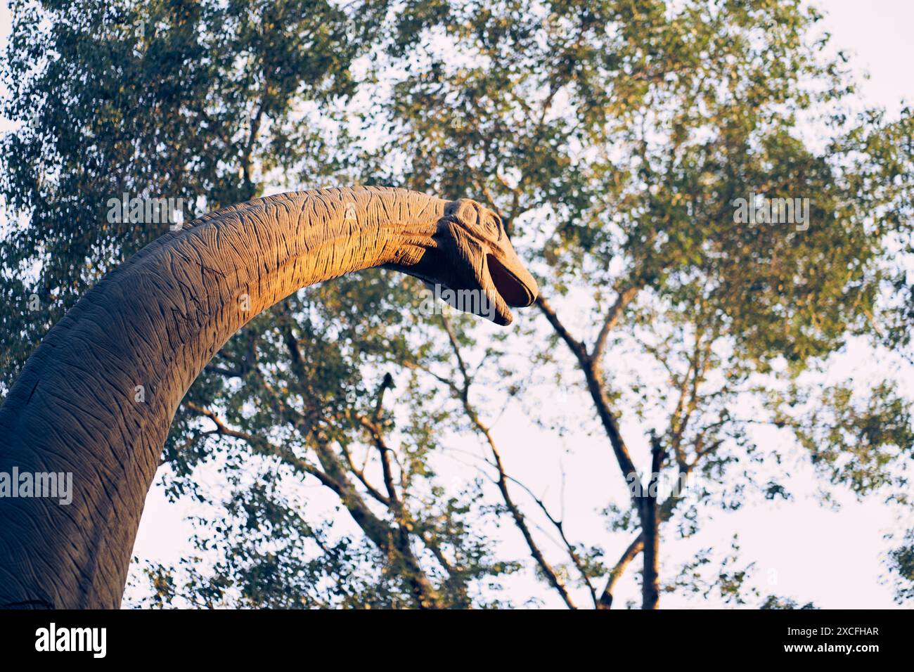 Der Dinosaurier war ein Sauropod, einer der größten. Der Kopf eines Brachiosaurus auf einem Hintergrund von Bäumen und Himmel. Er lebte am Ende der Jurazeit. Mit Platz zum Kopieren. Hochwertige Fotos Stockfoto