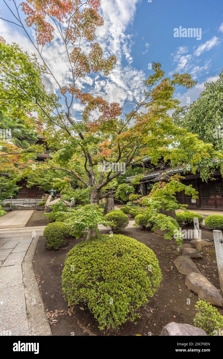 Tokio, Japan. 18. August 2023: Gotoku-JI-Tempel. Sōtō Zen-Budhist-Tempel in Setagaya Ward. Auch bekannt als Katzentempel oder Katzenschrein Stockfoto