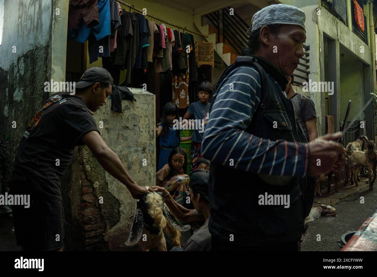 Zentrum Von Jakarta, Jakarta, Indonesien. Juni 2024. Muslime bereiten Opferziege zum Abschlachten während der Eid al-Adha-Feier in Jakarta vor. (Kreditbild: © Asyraf Rasid/ZUMA Press Wire) NUR REDAKTIONELLE VERWENDUNG! Nicht für kommerzielle ZWECKE! Stockfoto