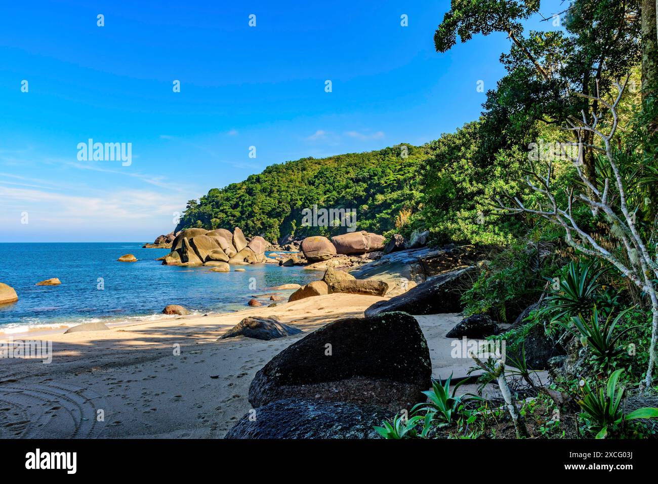 Wald, Hügel, Felsen und Meer von Indaiauba Strand in Ilhabela Insel Küste os Sao Paulo, Indaiauba Strand, Ilhabela, Sao Paulo, Brasilien Stockfoto