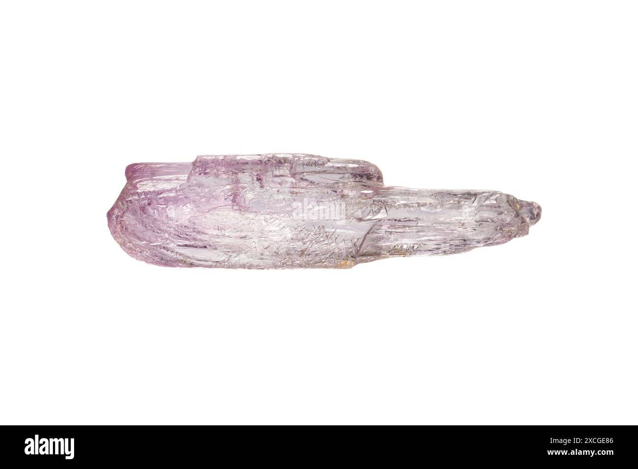 Natürlicher rosa Kunzit-Edelstein. Kunzit ist eine rosa bis violette Sorte des Minerals Spodumenin. Die Industrie, die als Lithiumerz verwendet wird. Stockfoto