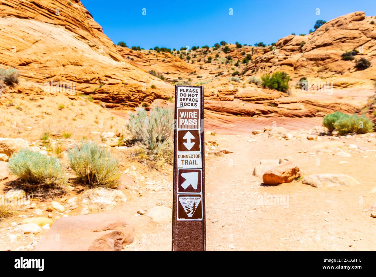 Wegweiser am Coyote Wash Teil des Wire Pass Trail, Vermilion Cliffs National Monument, Utah, USA Stockfoto
